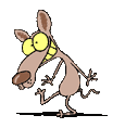 dancing dog